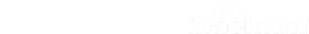 AO-BlackHat25-Logo-W
